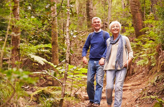 seniors hiking in the woods
