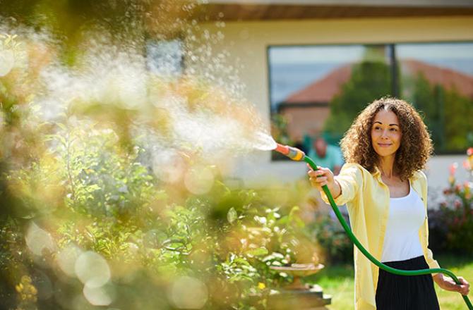 woman watering garden in the summer