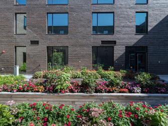 Garden by outdoor courtyard.