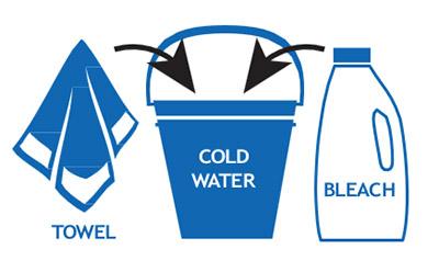 decorative diagram of food safety